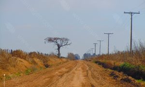 Camino de tierra horizonte en el campo