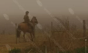 Montando a caballo