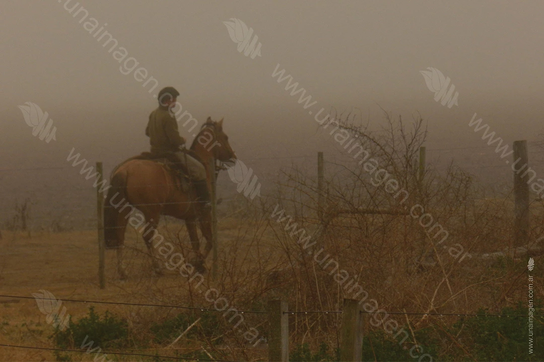 Montando a caballo