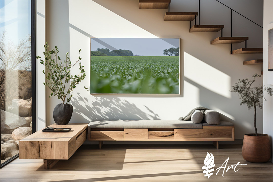 Campo de soja verde - Imagen 2