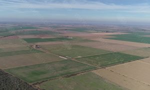 Vista de campo vista aéreo